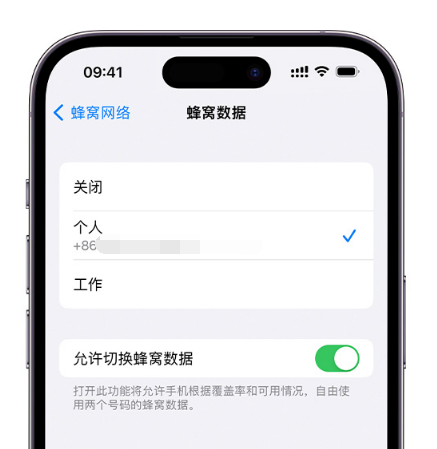 顺河回族苹果维修服务分享如何在iPhone上使用双卡 